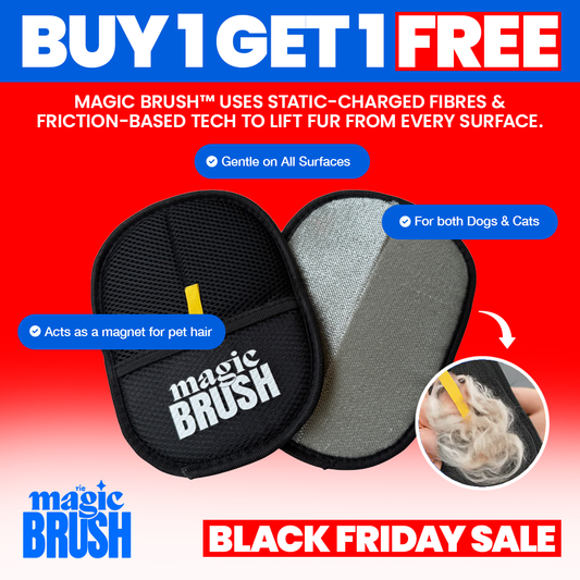 🔥Last Day Sale! 80% OFF!🔥||The Magic Brush™ - Buy 1 Get 1 Free