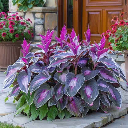 🔥Last Day Sale! 80% OFF!🔥||🌿Rare Hosta Seeds for Lush Shade Gardens💖🔥1 Pack-100 Seeds