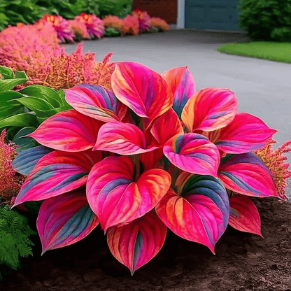🔥Last Day Sale! 80% OFF!🔥||🌿Rare Hosta Seeds for Lush Shade Gardens💖🔥1 Pack-100 Seeds