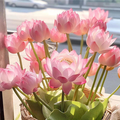 🔥Last Day Sale! 80% OFF!🔥||💐The Sacred Bonsai Bowl Lotus Flower